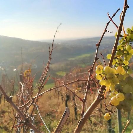 Gasthaus Doersthof 阿尔岑瑙·因·尤特弗兰恩 外观 照片